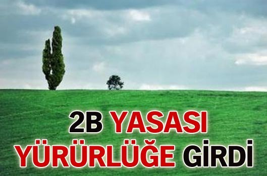 2B Yasası yürürlüğe girdi