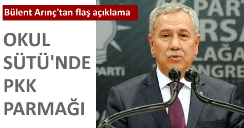 Arınç: ''Bunu beklemek aptallıktır''