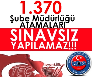 "MEB Şube Müdürlüğüne Sınavsız Atama Yapamaz!"