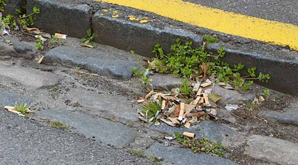 Dikkat! 50 TL cezası var