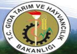 Tarım Bakanlığı, 200 personelini yurt dışına gönderecek