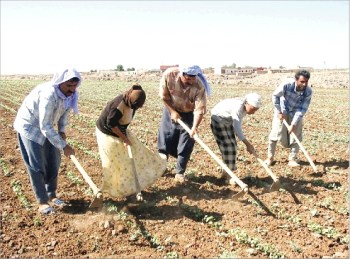 Müjde Geldi: Emekli çiftçiye de alabilecek...