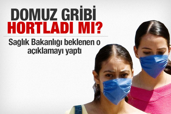 Bakanlıktan domuz gribi açıklaması