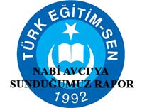 TES'in Nabi Avcı'ya Sunduğu Rapor