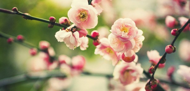 Artık bahar geliyor!