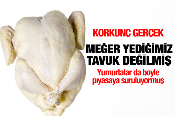 Yediklerimiz meğer tavuk değilmiş!
