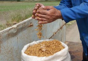 26 Ürünün Türkiye'ye Girişi Yasaklandı