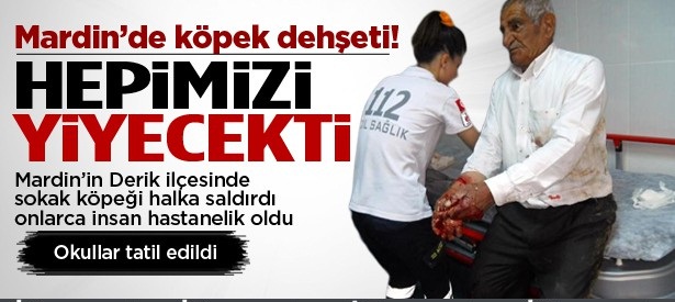 Mardin'de okullar tatil edildi