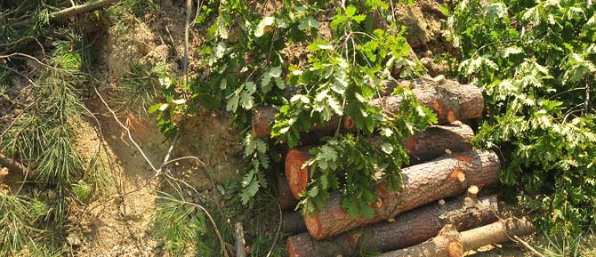 3. Köprü Kaçak Demiştik Haklı Çıktık!