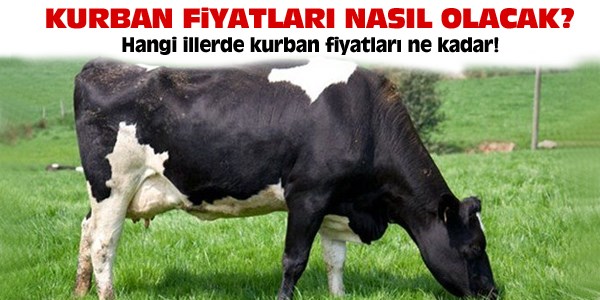 2013 Kurban fiyatları nasıl olacak?