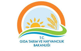 Müfettiş Yardımcılığı Giriş Sınavı