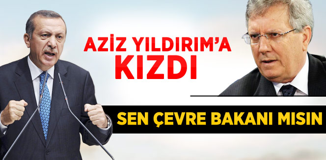 Erdoğan'dan Aziz Yıldırım'a: Sen Çevre Bakanı Mısın?