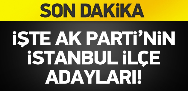 İşte AK Parti'nin İstanbul ilçe adayları