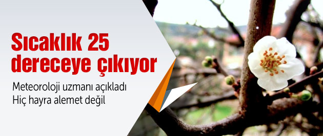 Kış ortasında görülmemiş sıcaklık geliyor