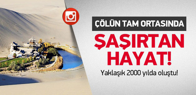 Çölün ortasında şaşırtan hayat