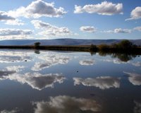 İsrail Türkiye'den su istiyor