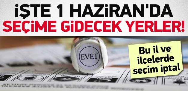 İşte 1 Haziran'da seçime gidecek yerler