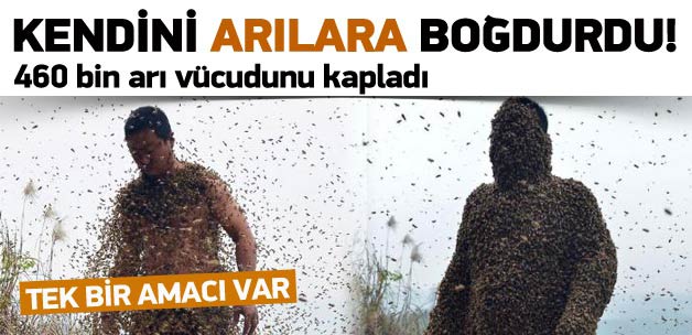 460 bin arı vücudunu kapladı