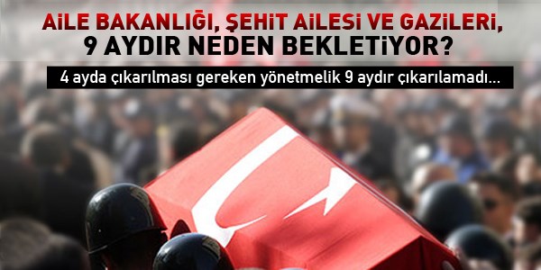 Şehit ailesi ve gazinin iş hakkı çilesi