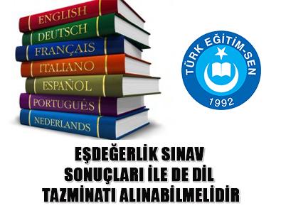 Dil Tazminatında Eşdeğer Sonuçlar da dikkate alınsın
