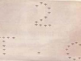 Arşivlerde unutulmuş bir fotoğraf