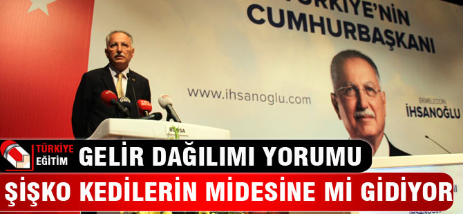 İhsanoğlu: Şişko kedilerin midelerine mi gidiyor