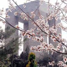 Şehitler Tepesi boş değil...