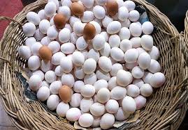 Başbakana yumurta atınca öğretmenlikten atıldı