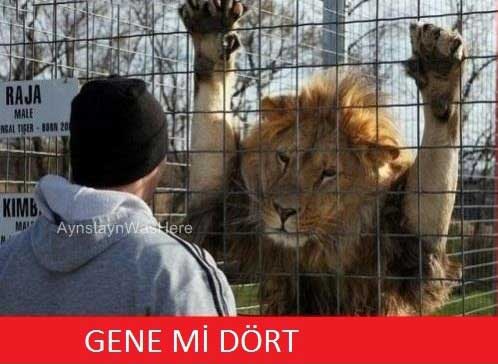 Galatasaray - Dortmund maçı capsleri