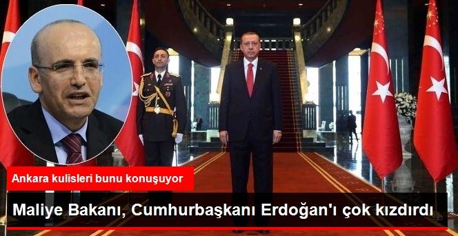 Mehmet Şimşek, Cumhurbaşkanı Erdoğan'ı Çok Kızdırdı