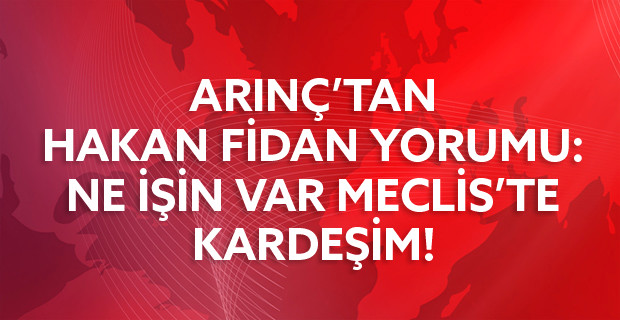 Arınç: Hakan Fidan'ın Milletvekili Olmasını İsraf Olarak Görüyorum