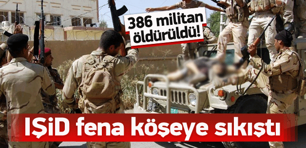 IŞİD çok fena köşeye sıkıştı! 386 kayıp verdi
