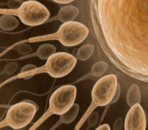 Kriz, sperm bankalarını da vurdu