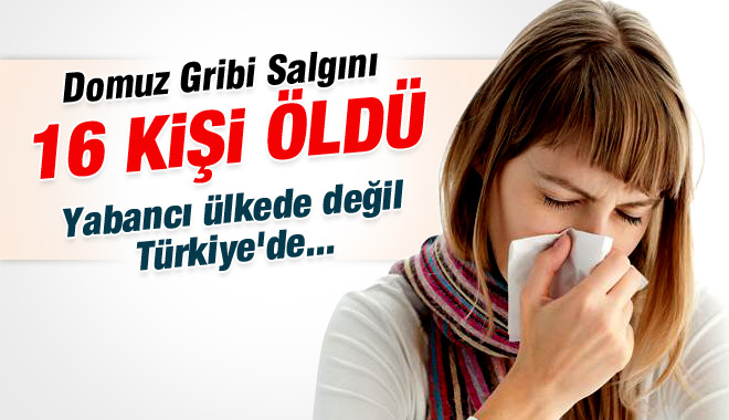 Domuz Gribi Salgını: 16 Kişi Öldü