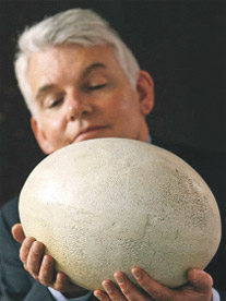 400 yıllık dev yumurta