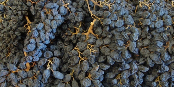 Okullarda kuru üzüm dağıtımı başlıyor