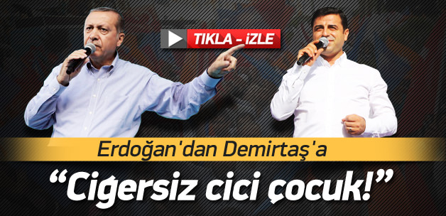 Erdoğan'dan Demirtaş'a: Ciğersiz Cici Çocuk