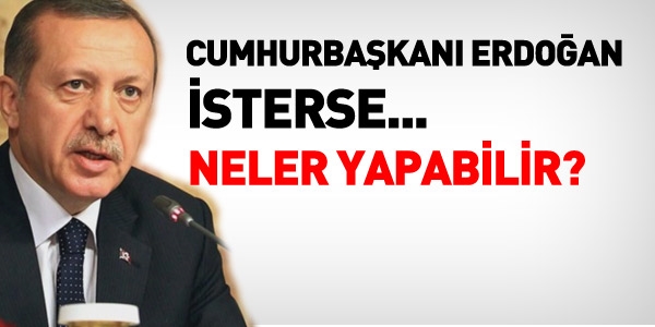 Erdoğan isterse, neler yapabilir?