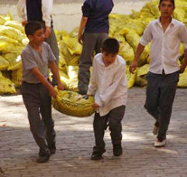 Kömür taşımalı' eğitim