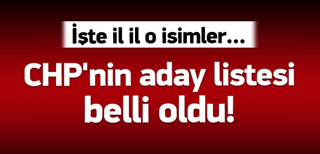 İşte CHP'nin 1 Kasım aday listesi