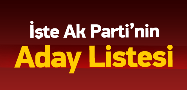 İşte AK Parti'nin 1 Kasım aday listesi