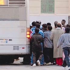 Irkçılığın böylesi