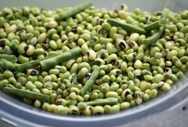 Ömür Uzatan Kahraman Gıda