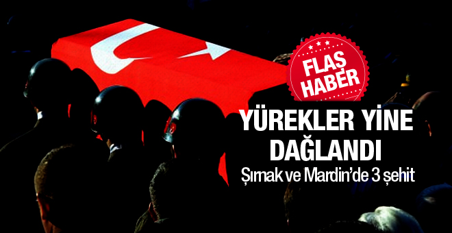 Şırnak ve Nusaybin'de şehitlerimiz var