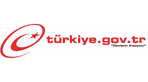 E-Devlet Hizmetleri Yönetmeliği