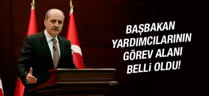 Başbakan yardımcılarının görev dağılımı