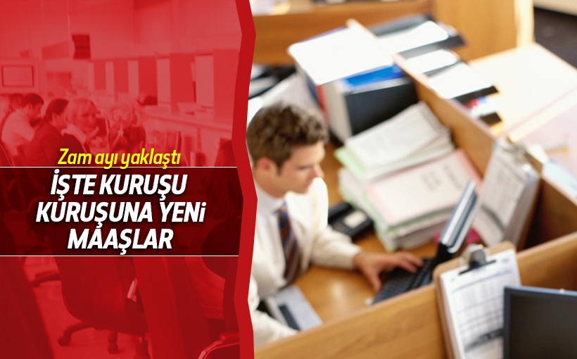 Kuruşu kuruşuna Temmuz 2016  maaşları