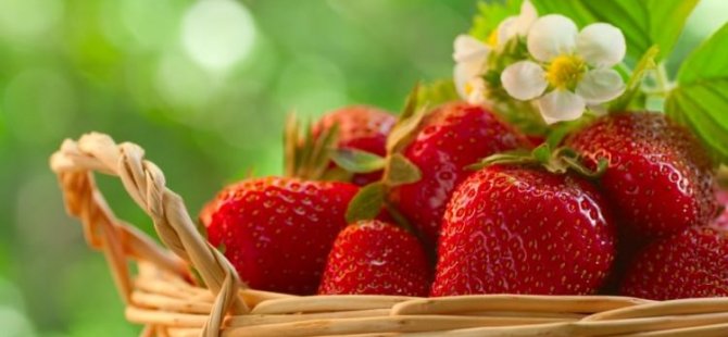 Tiroide karşı birebir!