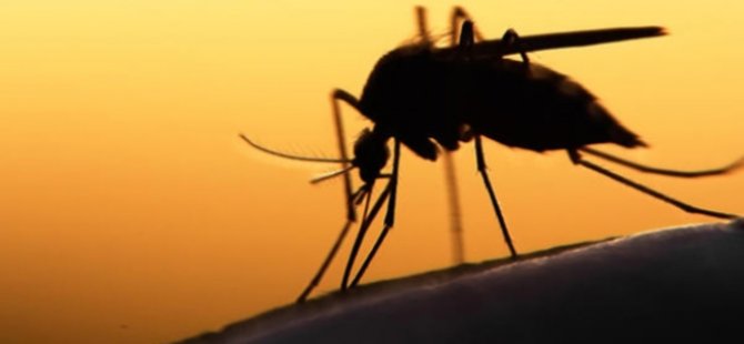 Zika'da en riskli 9. ülkeyiz