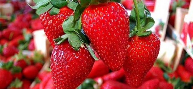 Bel incelten meyveler